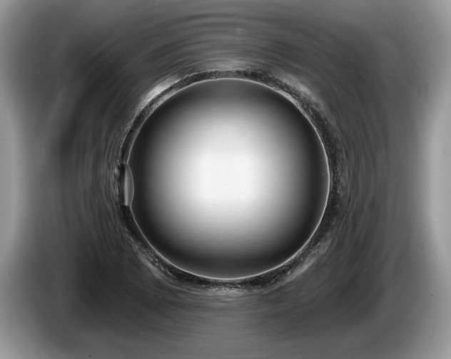X0000087571073200704271243