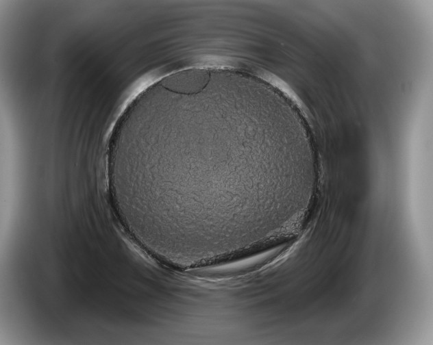 X0000087571075200704271243