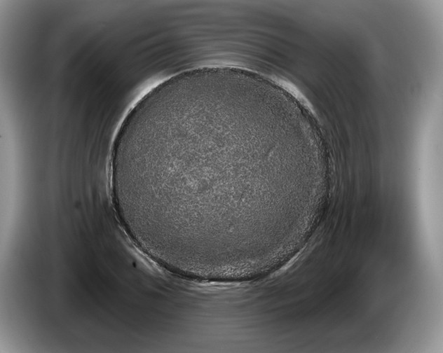X0000087571076200704271243