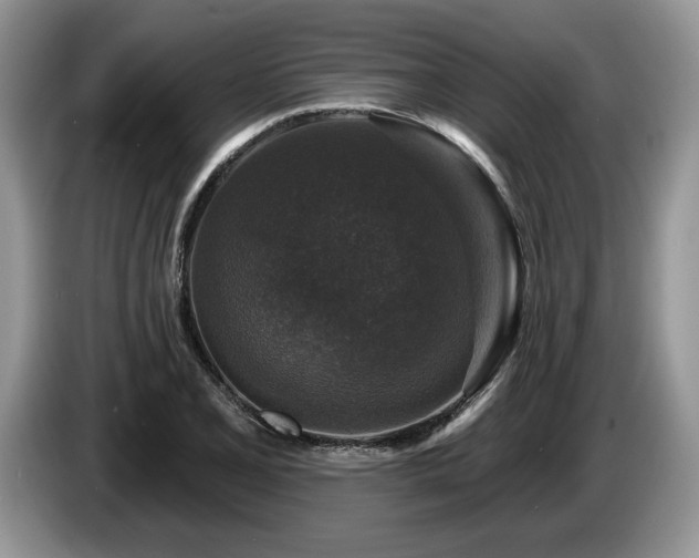 X0000087571077200704271243