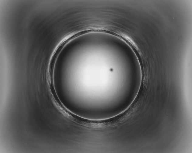 X0000087571080200704271243