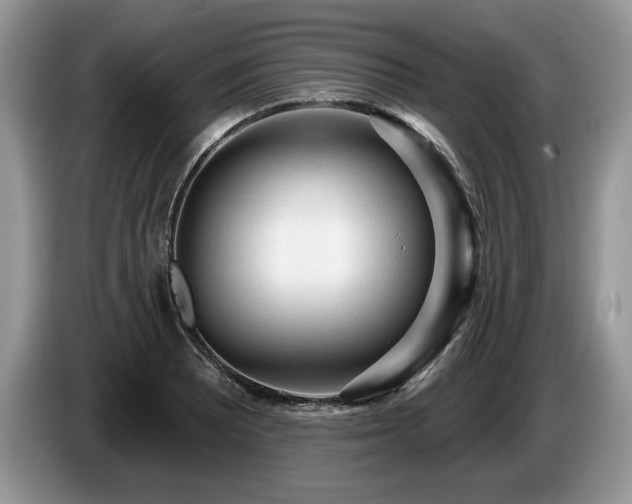 X0000087571081200704271243