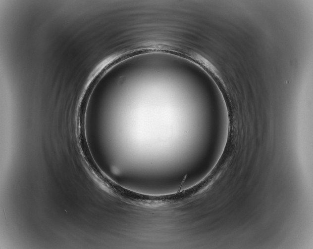 X0000087571082200704271243