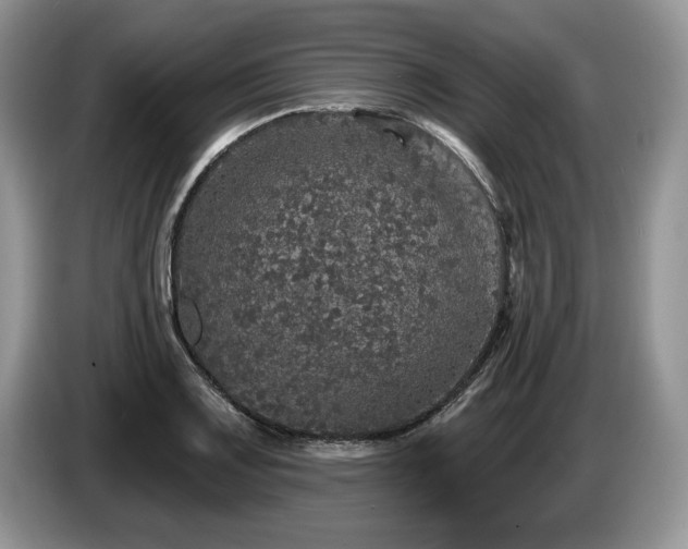X0000087571083200704271243