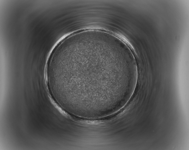 X0000087571084200704271243