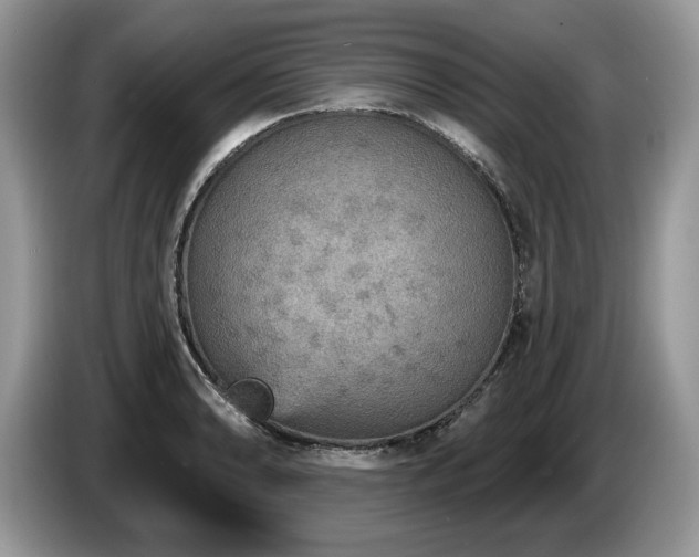 X0000087571086200704271243