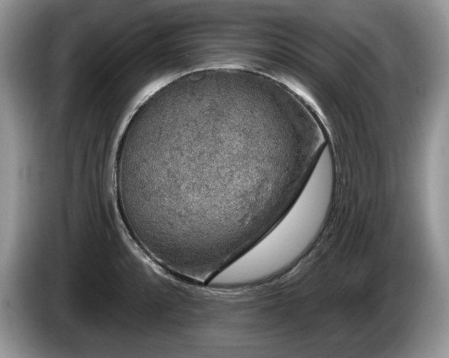 X0000087571088200704271243