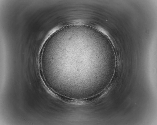 X0000087571090200704271243