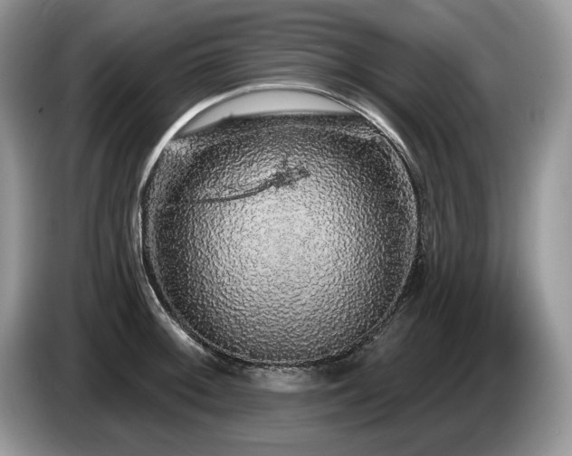X0000087571092200704271243