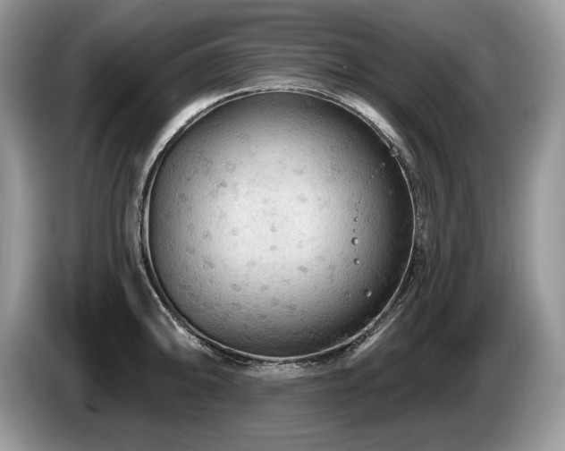X0000087571094200704271243