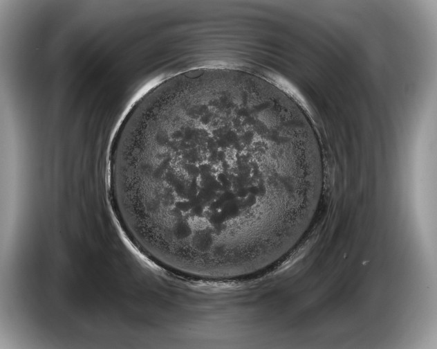 X0000087571095200704271243