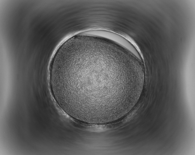 X0000087571096200704271243
