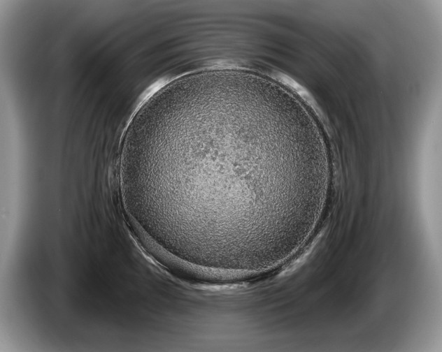 X0000087571097200704271243
