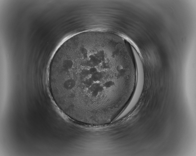 X0000087571099200704271243
