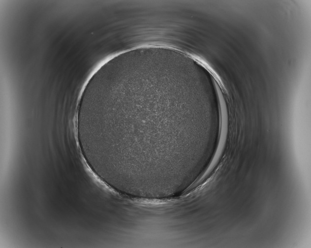 X0000087571100200704271243