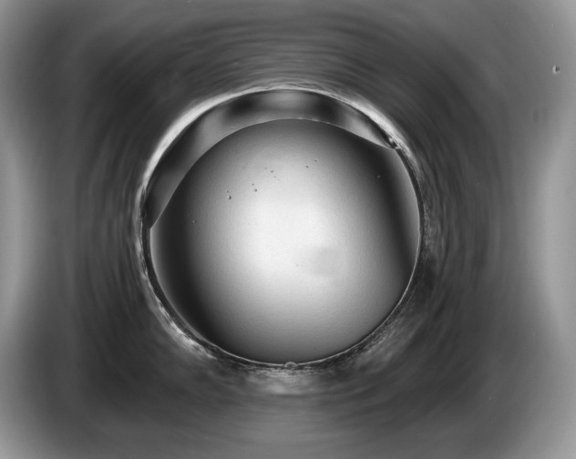 X0000087571102200704271243