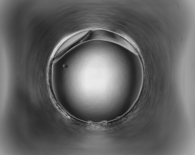 X0000087571104200704271243
