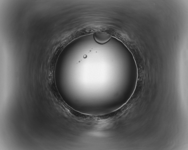 X0000087571109200704271242