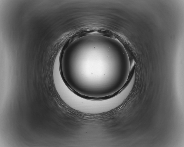 X0000087571110200704271242