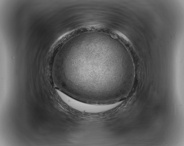 X0000087571112200704271242