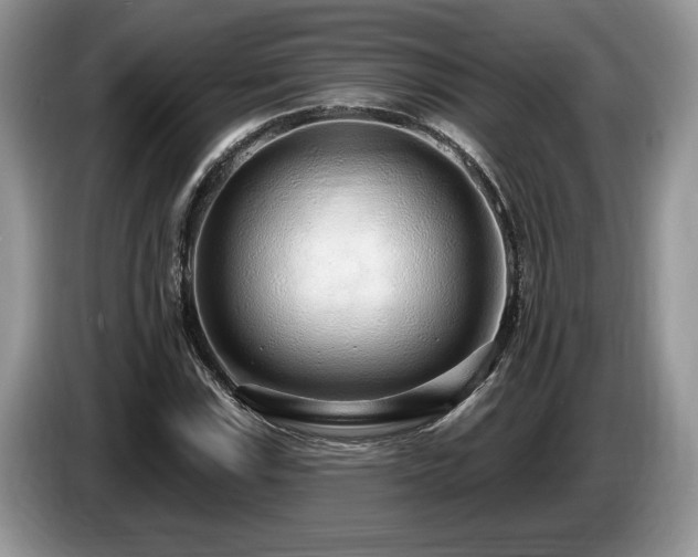 X0000087571115200704271242