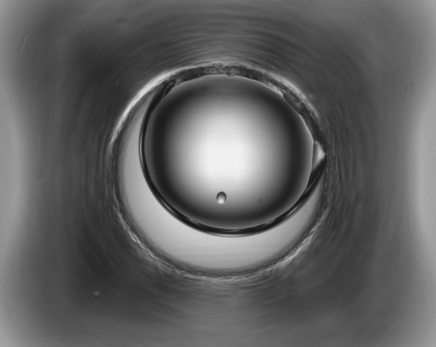 X0000087571118200704271242