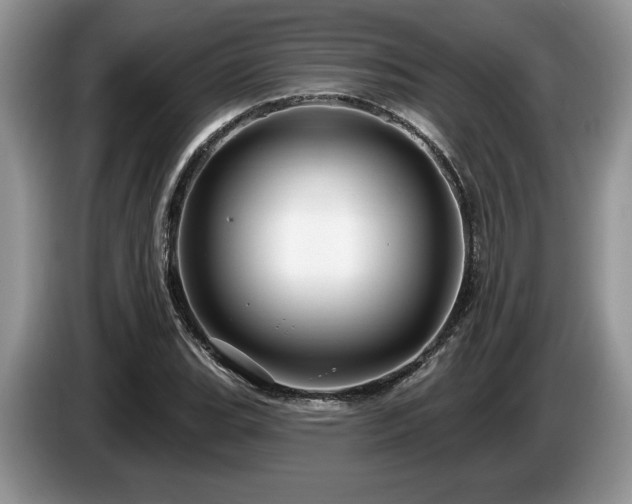X0000087571119200704271242