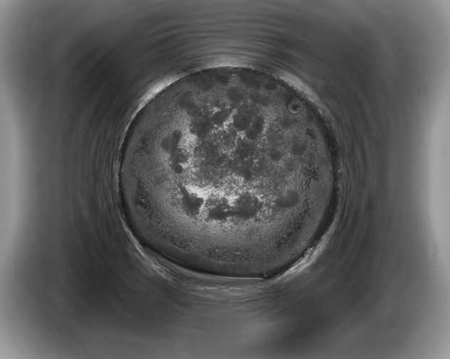X0000087571121200704271242