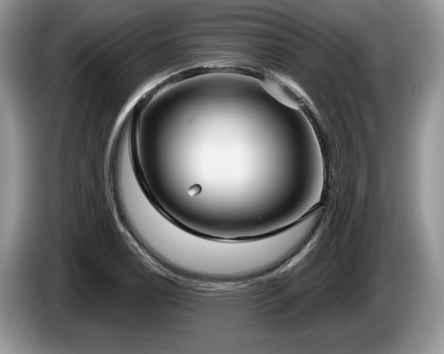 X0000087571122200704271242