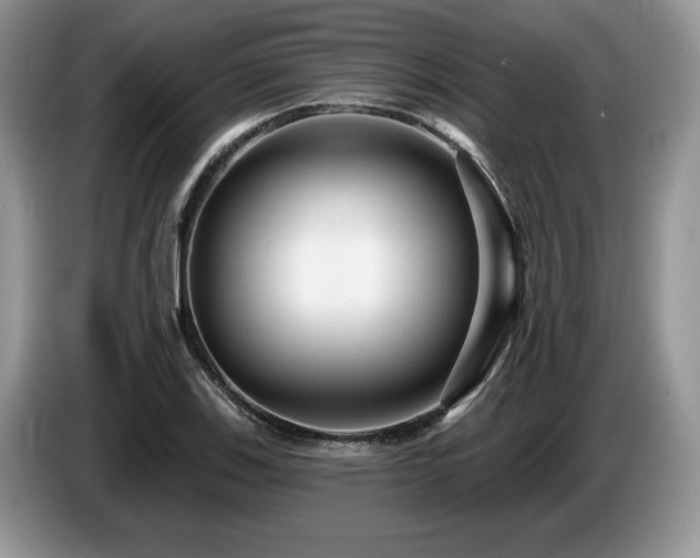 X0000087571123200704271242