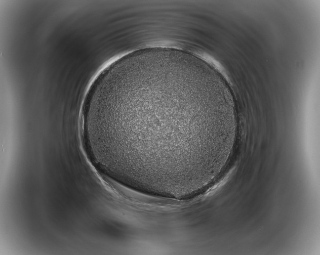 X0000087571125200704271242