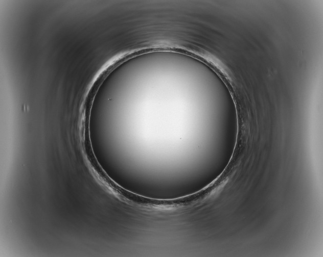 X0000087571126200704271242
