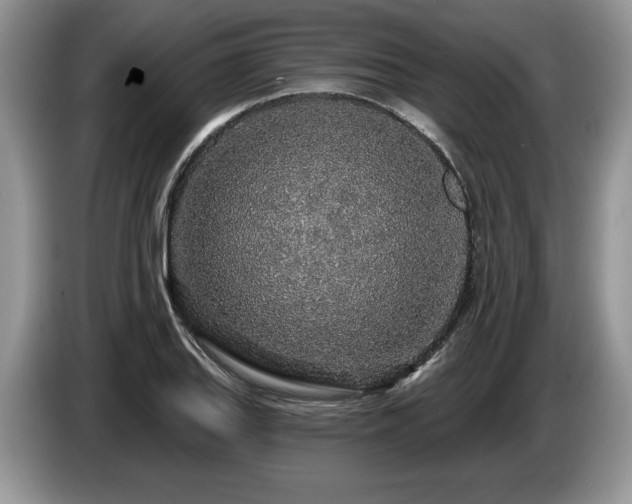 X0000087571127200704271242