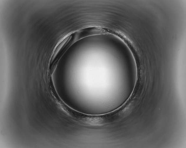 X0000087571129200704271242