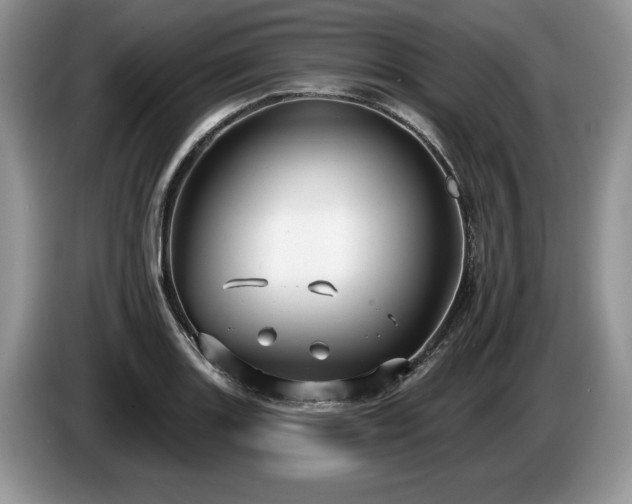X0000087571131200704271242