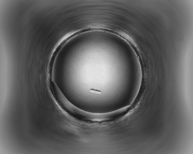 X0000087571133200704271242