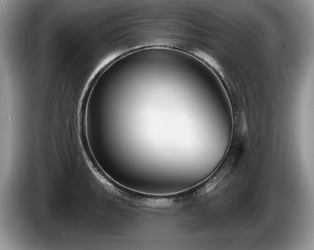 X0000087571135200704271242