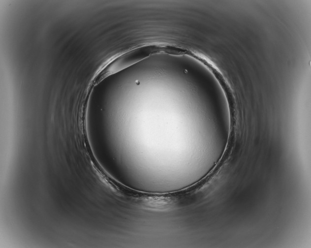 X0000087571137200704271242