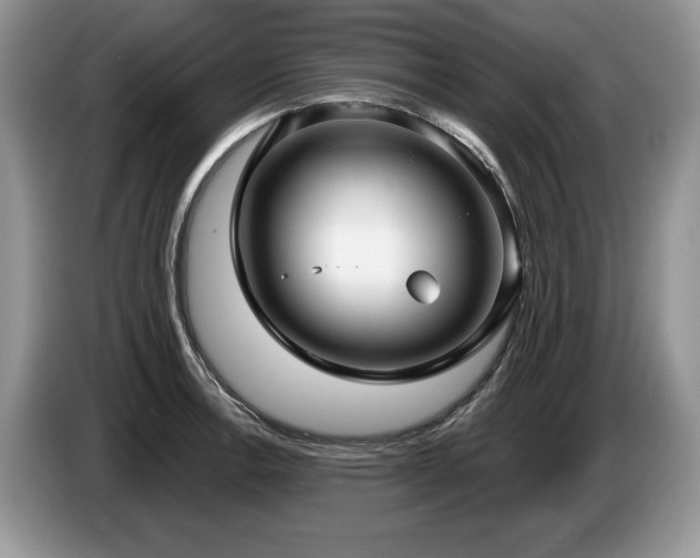 X0000087571138200704271242