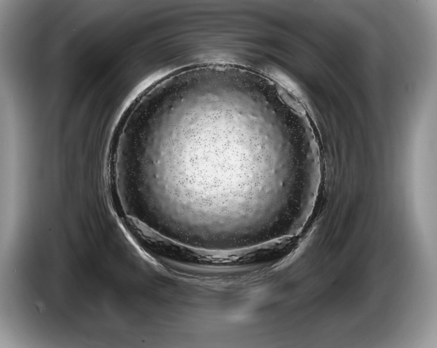X0000087571141200704271242