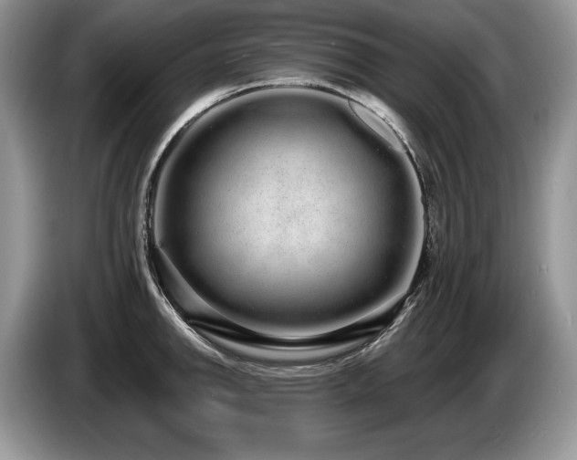 X0000087571142200704271242