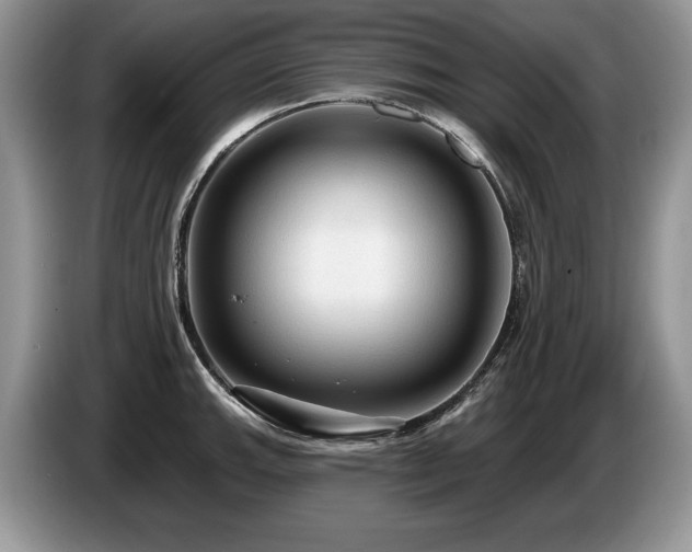 X0000087571143200704271242