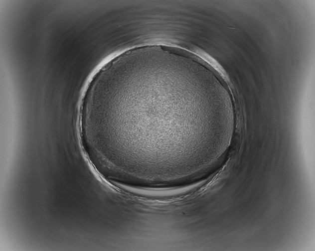 X0000087571144200704271242