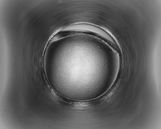 X0000087571145200704271242