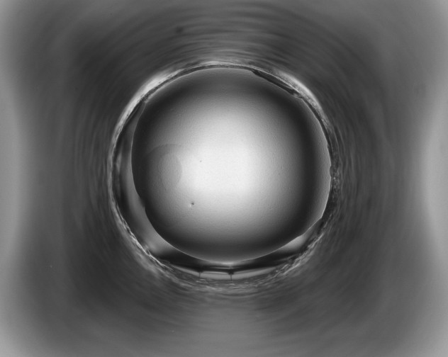 X0000087571146200704271242