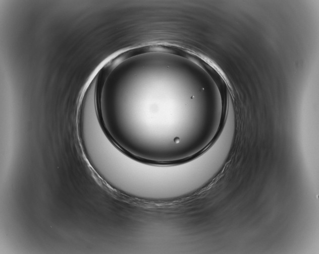 X0000087571148200704271242