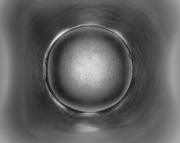 X0000087571151200704271243