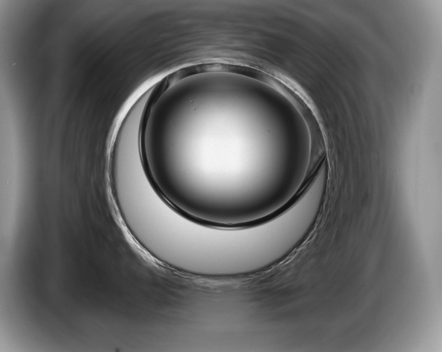 X0000087571152200704271243