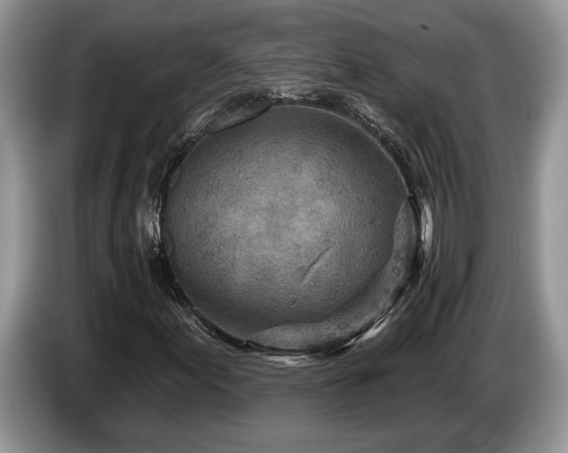 X0000087571155200704271242