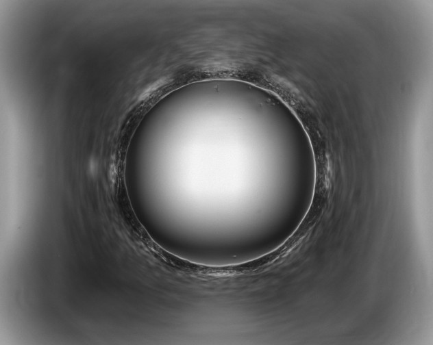 X0000087571157200704271242